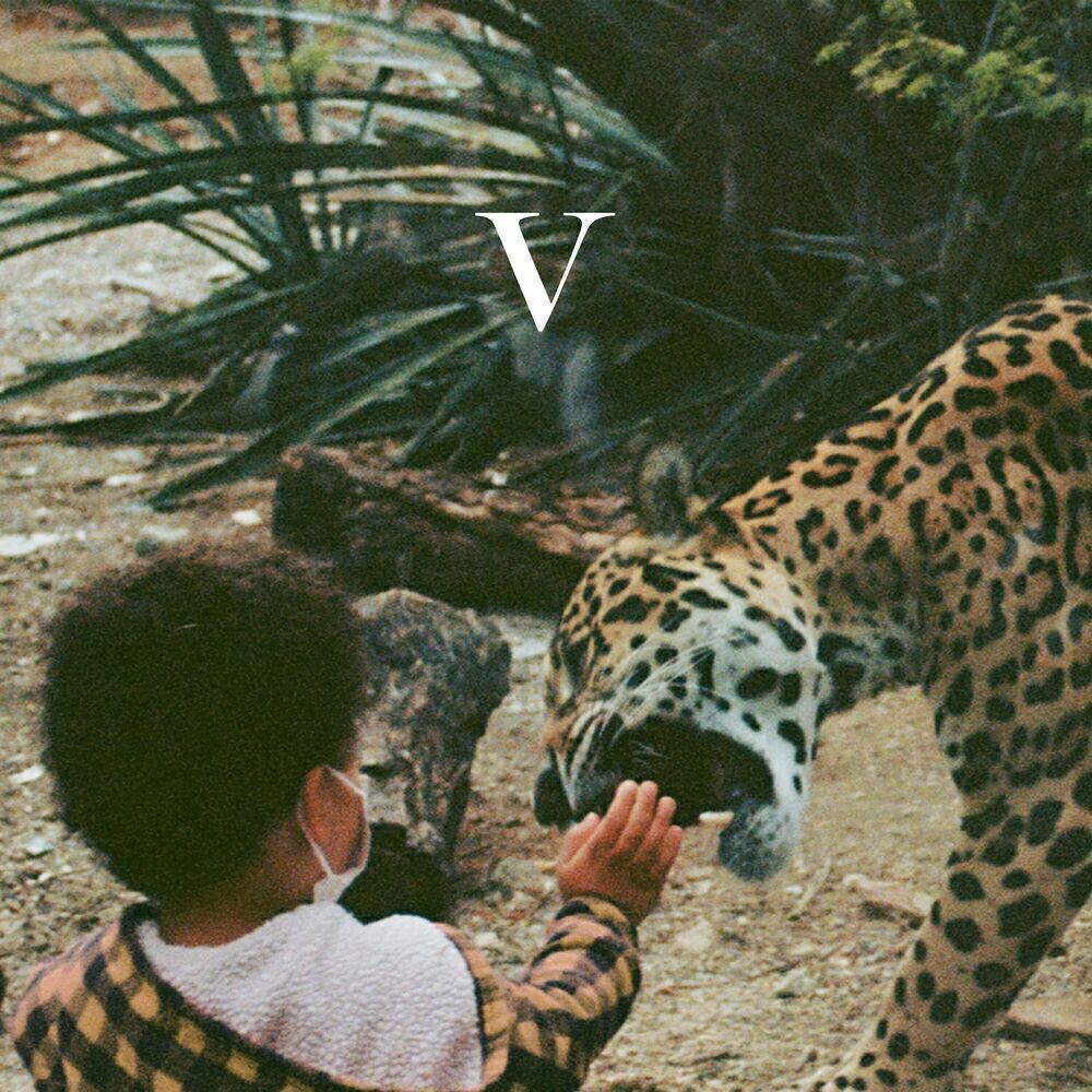 Виниловая пластинка Unknown Mortal Orchestra - V (Coloured), 42231