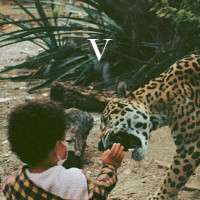 V (Coloured)
