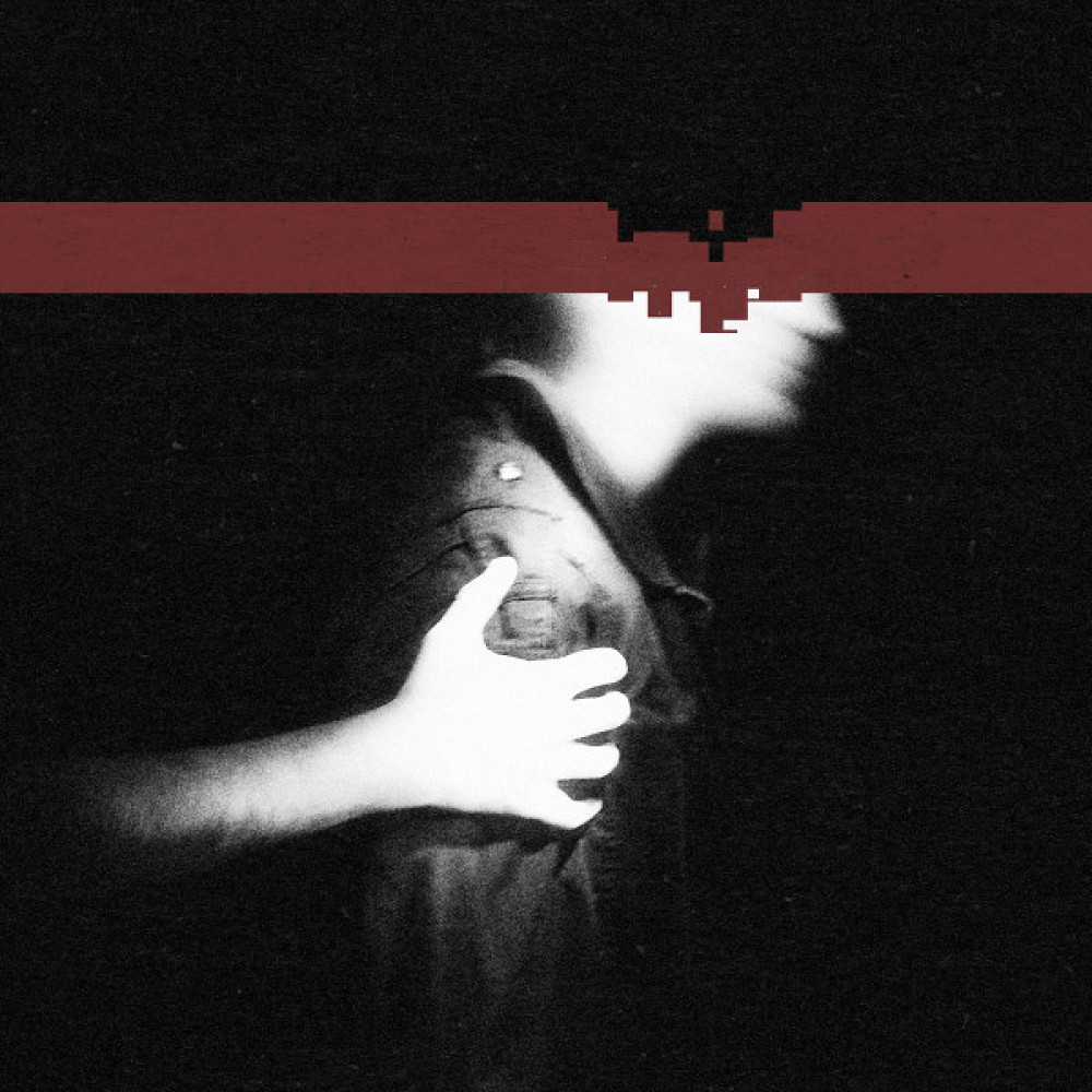 Виниловая пластинка NINE INCH NAILS - The Slip -Gatefold-, 1255