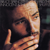 Wild, the innocent and the E street shuffle