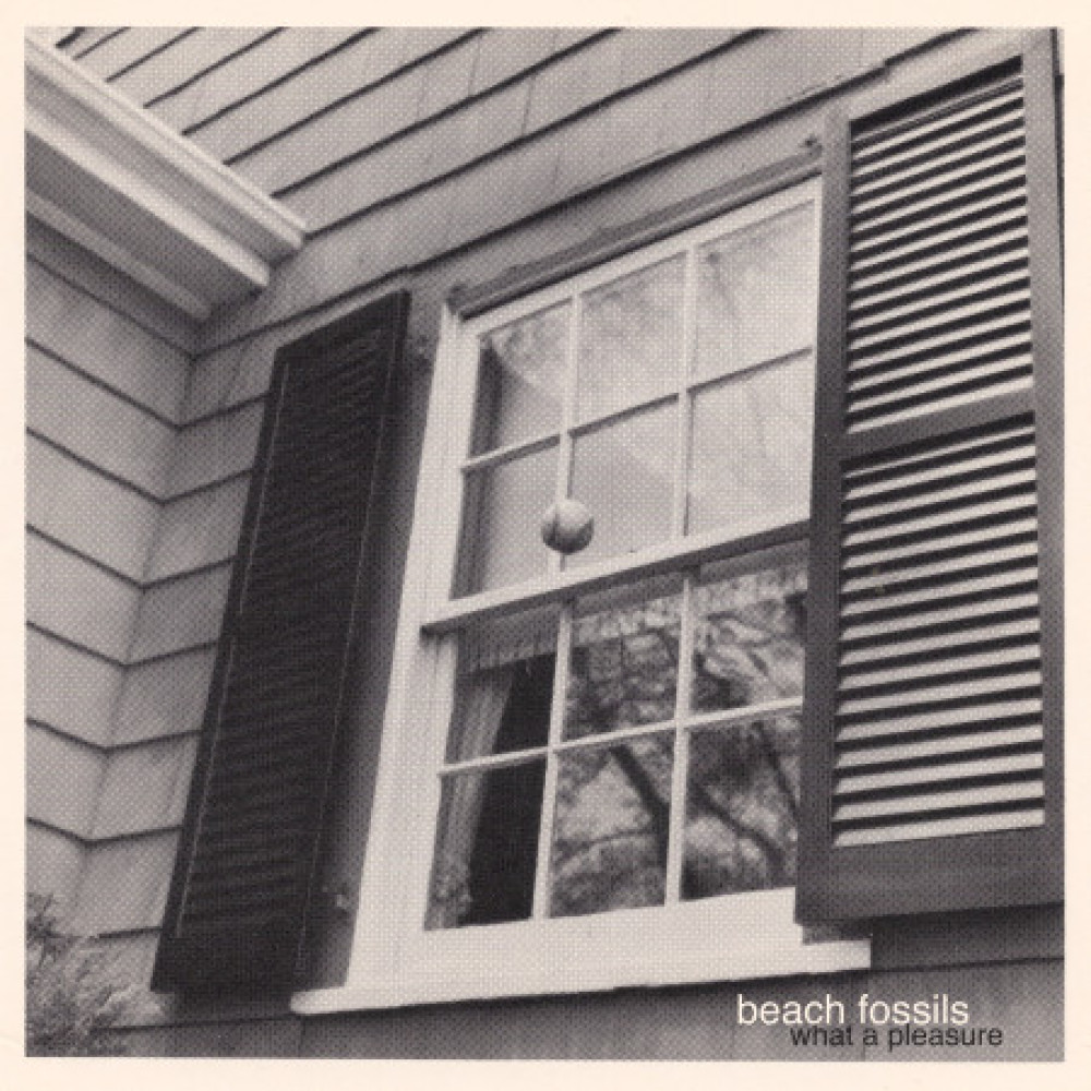 Вінілова платівка Beach Fossils - What a Pleasure, 89175