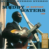 Muddy Waters At Newport 1960