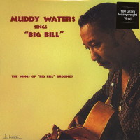 Plays Big Bill Broonzy