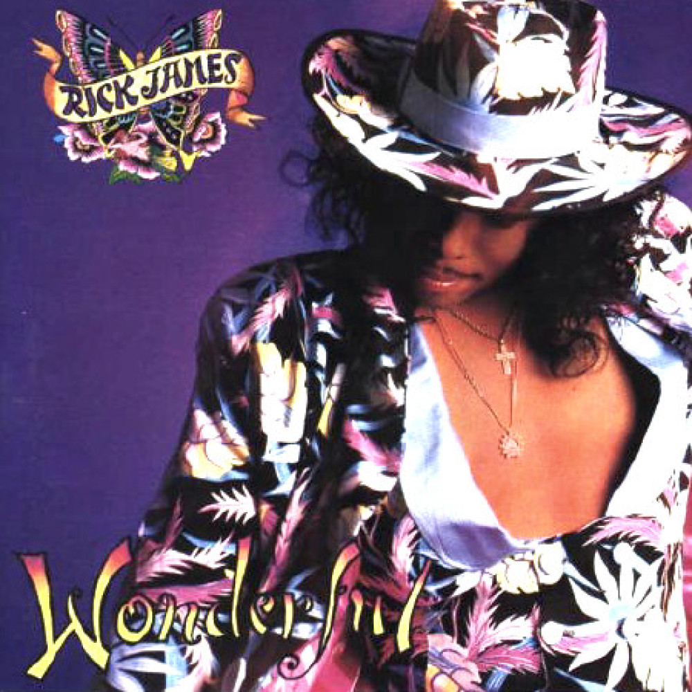 Виниловая пластинка James, Rick - Wonderful, 89441