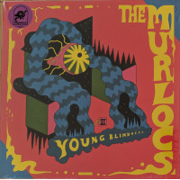 Young Blindness