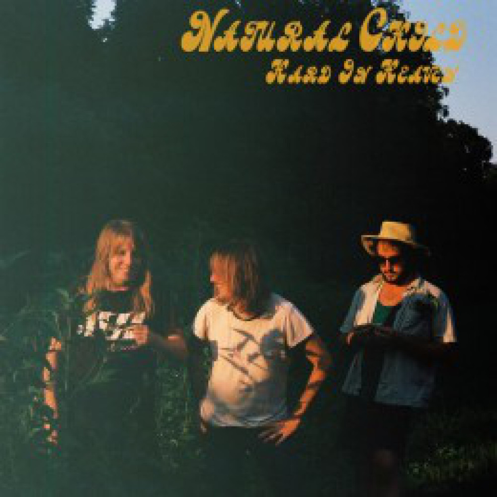 Виниловая пластинка Natural Child - Hard In Heaven, 89478