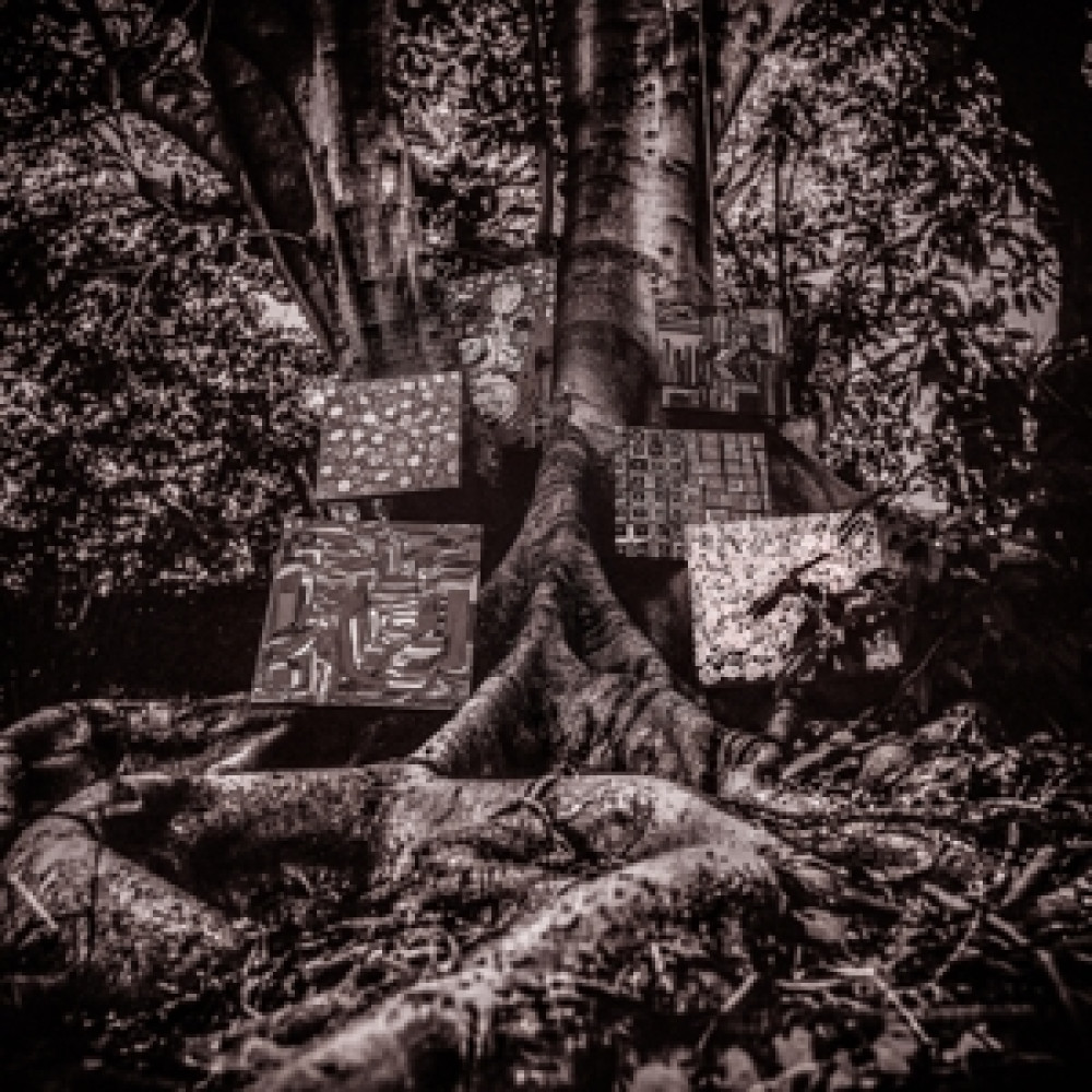Вінілова платівка Washington, Kamasi - Harmony of Difference EP, 89543