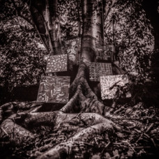 Harmony of Difference EP