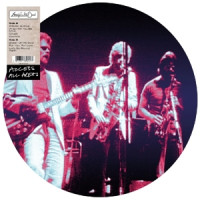 Access All Areas (Picture Disc)