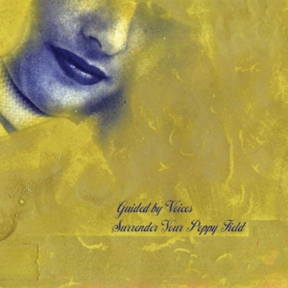 Виниловая пластинка Guided By Voices - Surrender Your Poppy Field, 89680