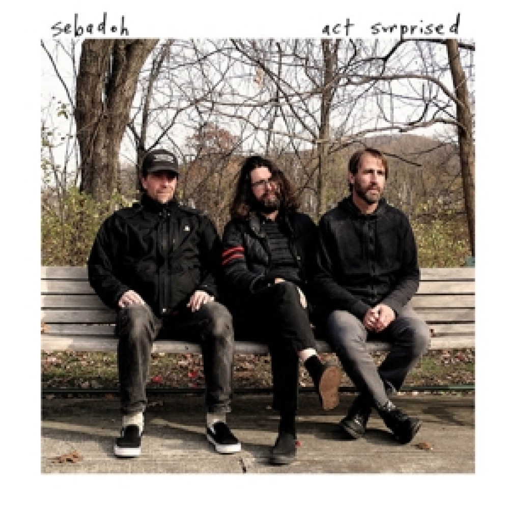 Виниловая пластинка Sebadoh - Act Surprised, 89693