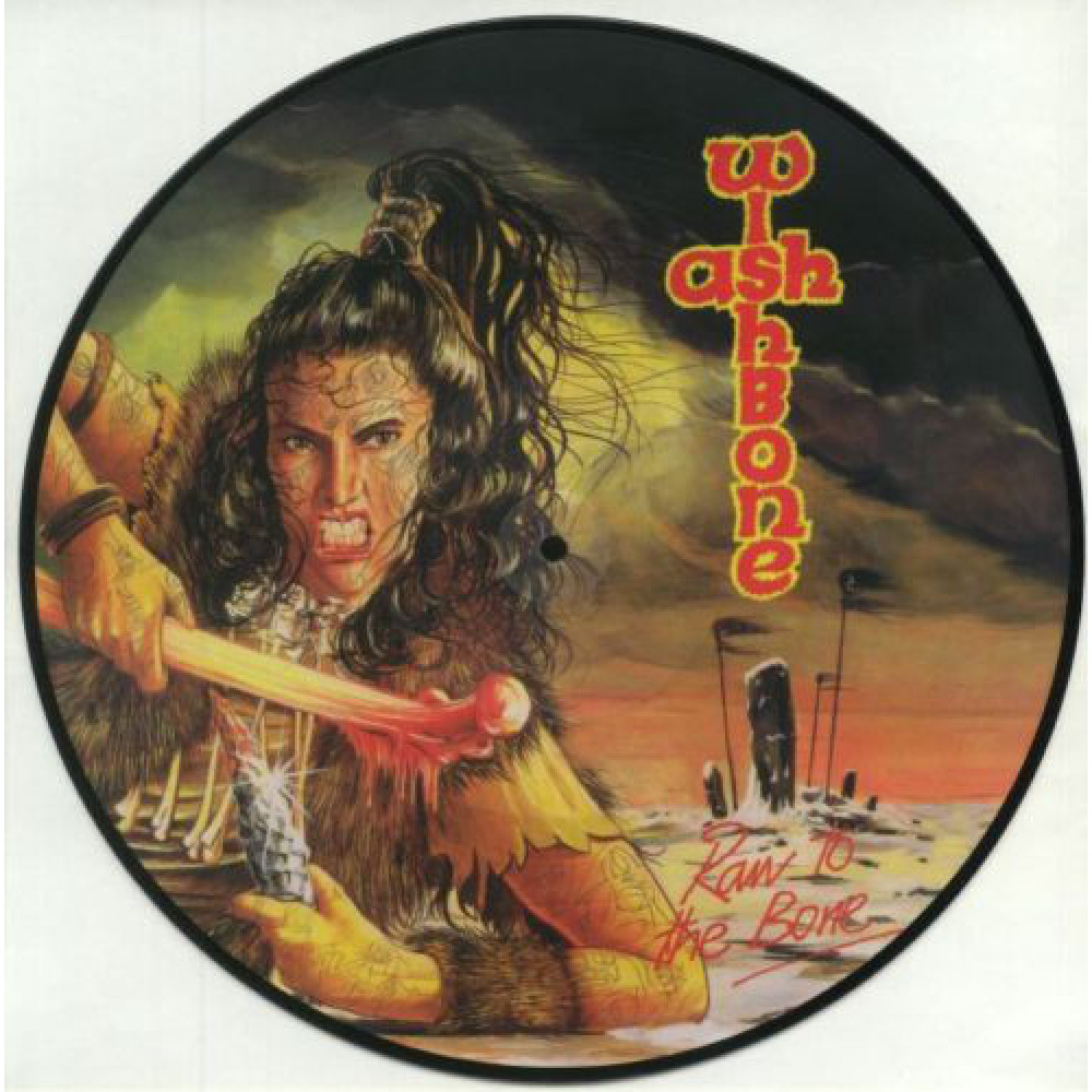 Виниловая пластинка Wishbone Ash - Raw To the Bone (Picture Disc), 89843