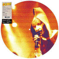 Access All Areas (Picture Disc)