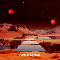 Avrokosm
