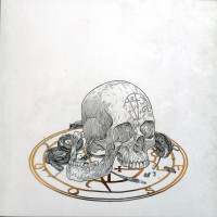 Skull 2019