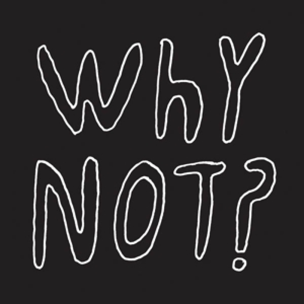 Виниловая пластинка Half Japanese - Why Not?, 90099