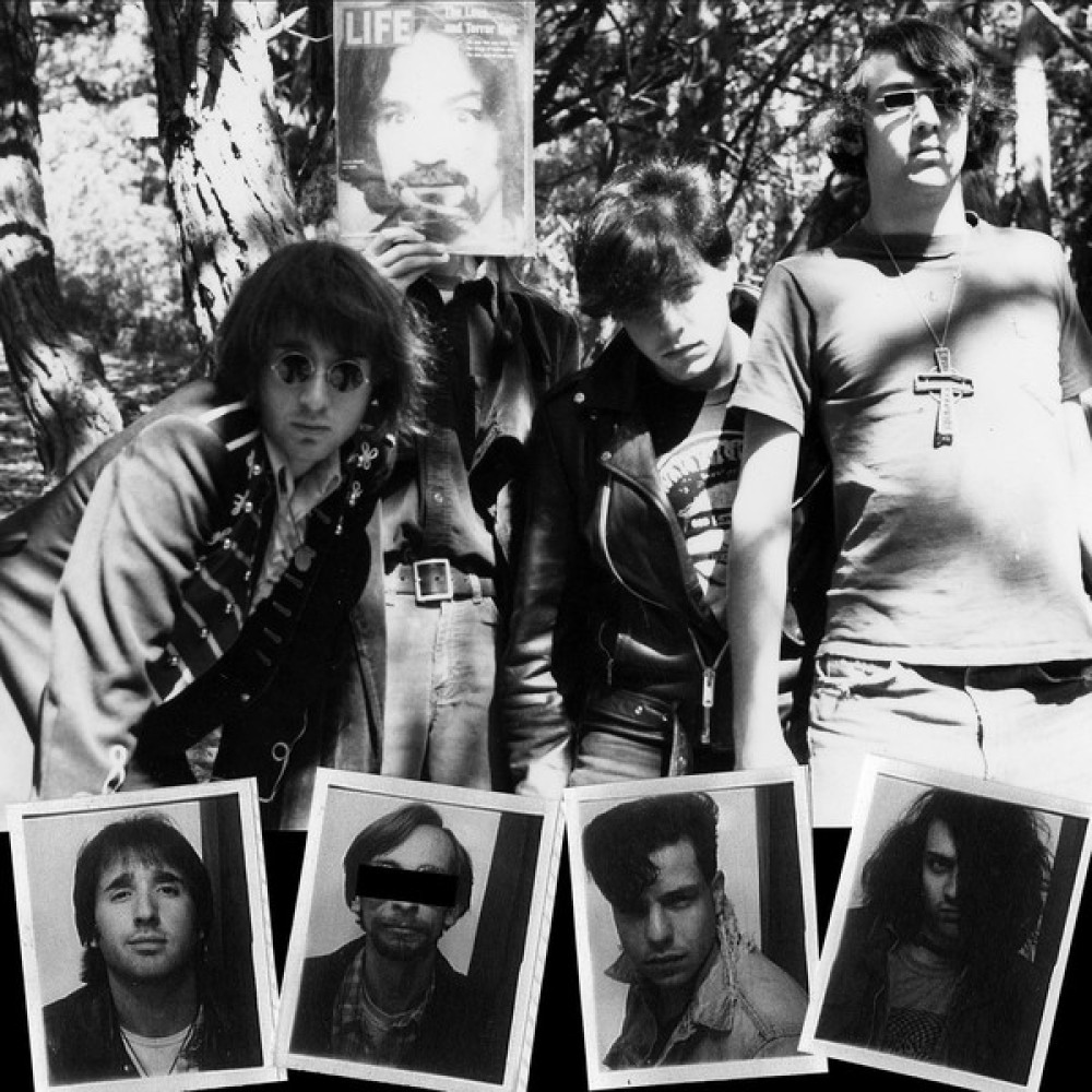 Виниловая пластинка Dwarves - Lick It 1983-86, 90107