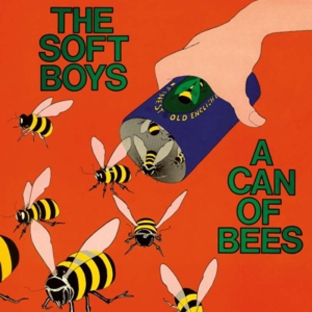 Виниловая пластинка Soft Boys - A Can of Bees, 90117