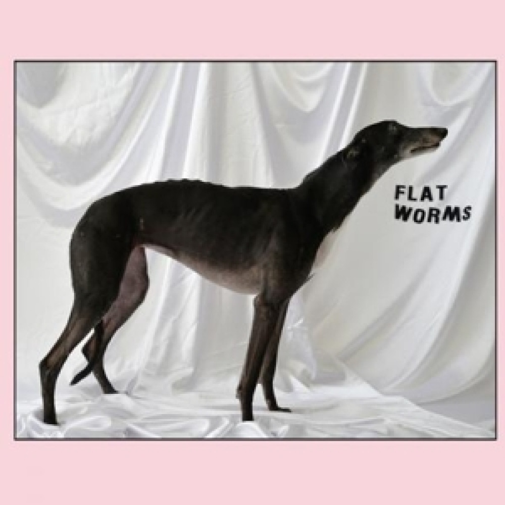 Виниловая пластинка Flat Worms - Flat Worms, 90167