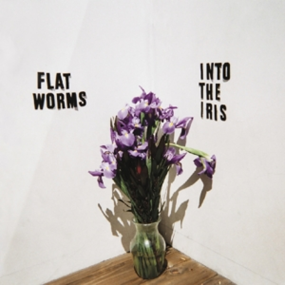 Виниловая пластинка Flat Worms - Into the Iris, 90168