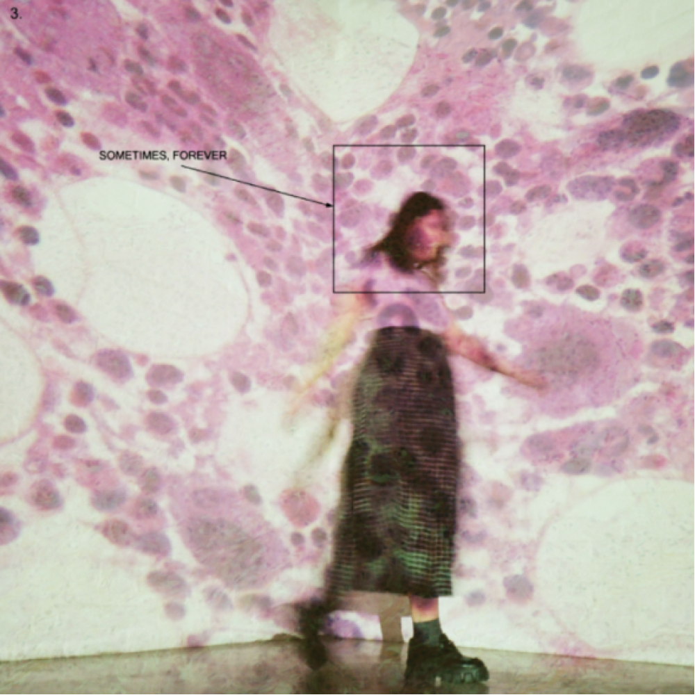 Виниловая пластинка Soccer Mommy - Sometimes, Forever (Coloured), 92839