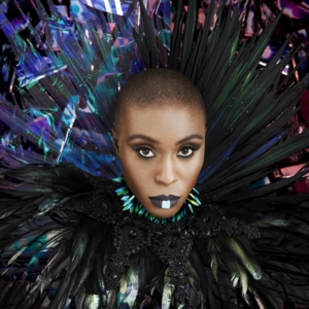 Виниловая пластинка Mvula, Laura - Dreaming Room, 2039