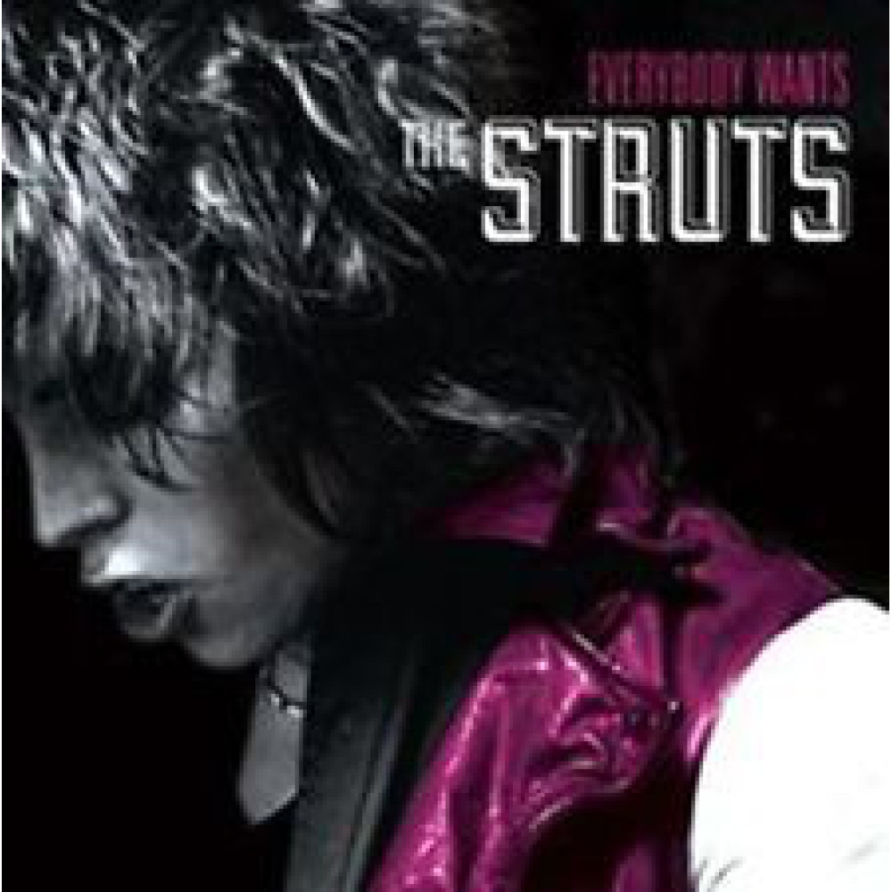 Виниловая пластинка The Struts - Everybody Wants, 2045