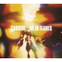 Up In Flames 