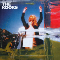 Junk Of The Heart