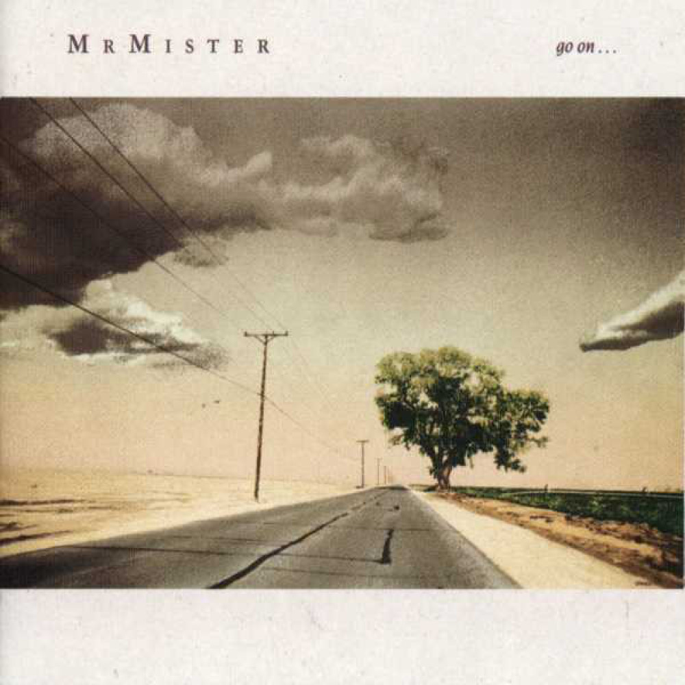 Виниловая пластинка Mr. Mister - Go On, 2118
