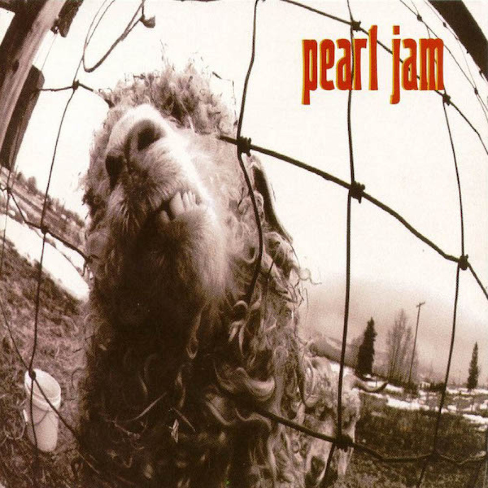 Виниловая пластинка Pearl Jam - Vs., 2194