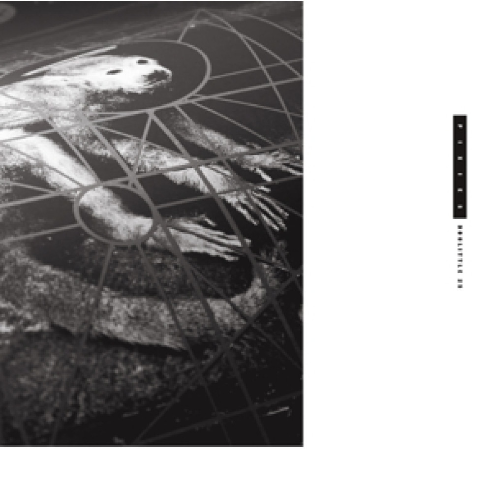 Виниловая пластинка Pixies - Doolittle 25, 2242