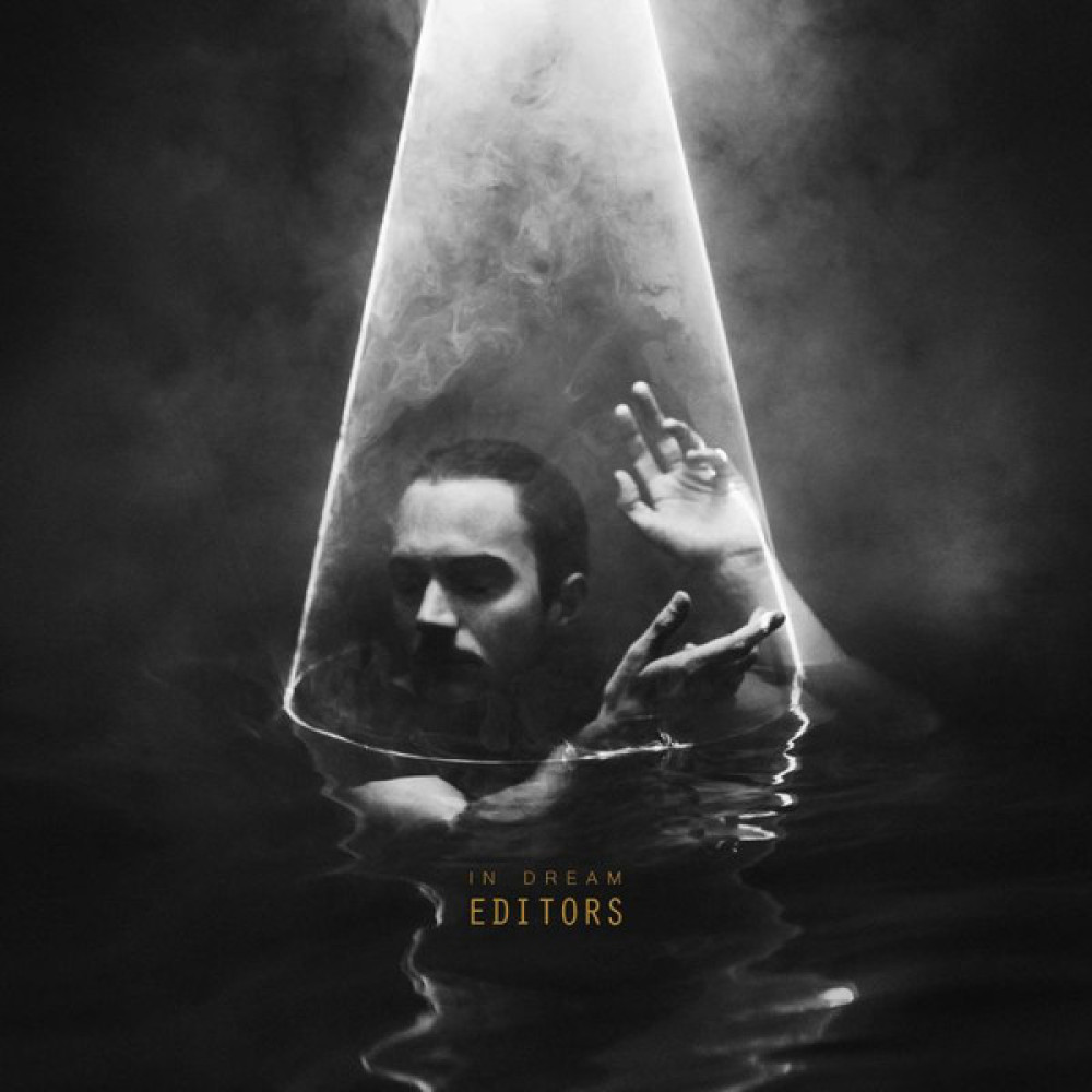 Виниловая пластинка Editors - In Dream, 2385