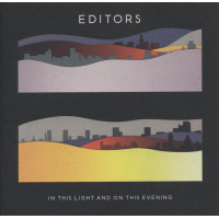 In This Light and On This Evening
