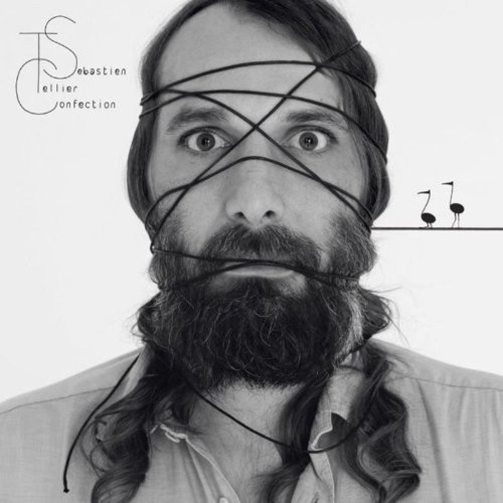 Виниловая пластинка Tellier, Sebastien - Confection, 2393