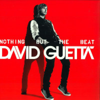 Nothing But the Beat 2.0