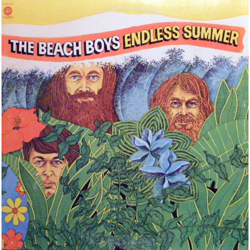 Виниловая пластинка Beach Boys - Endless Summer, 2439