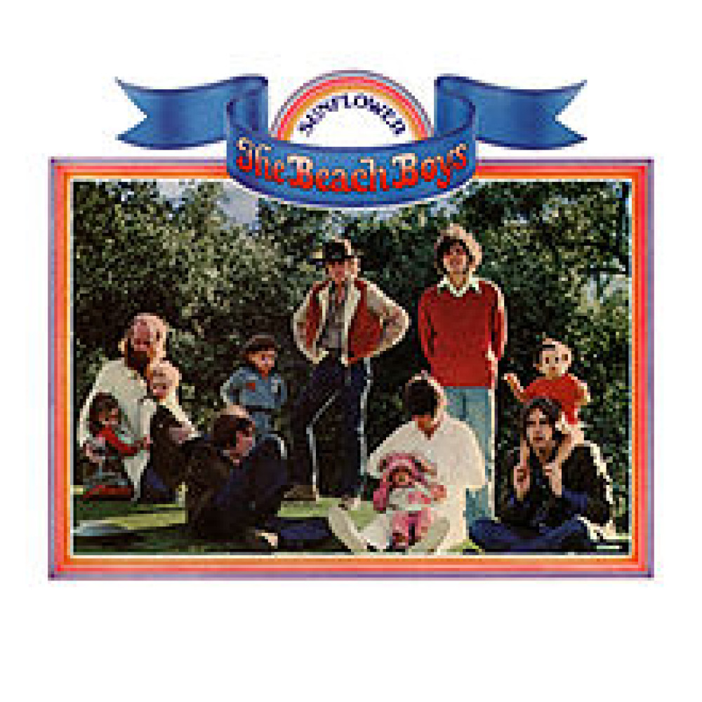 Виниловая пластинка Beach Boys - Sunflower, 2451