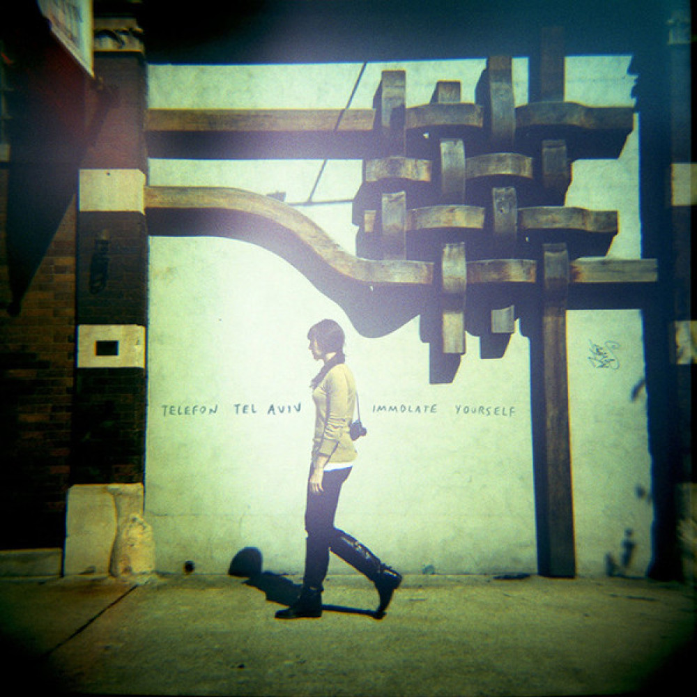 Виниловая пластинка Telefon Tel Aviv - Immolate Yourself, 2496