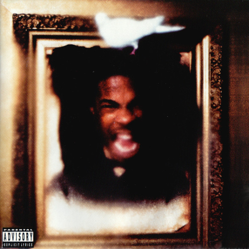 Виниловая пластинка Busta Rhymes - The Coming, 2580