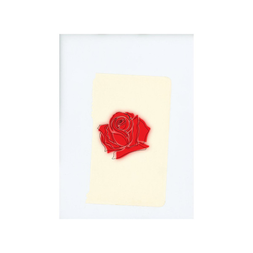 Виниловая пластинка Lany  - Lany, 2658
