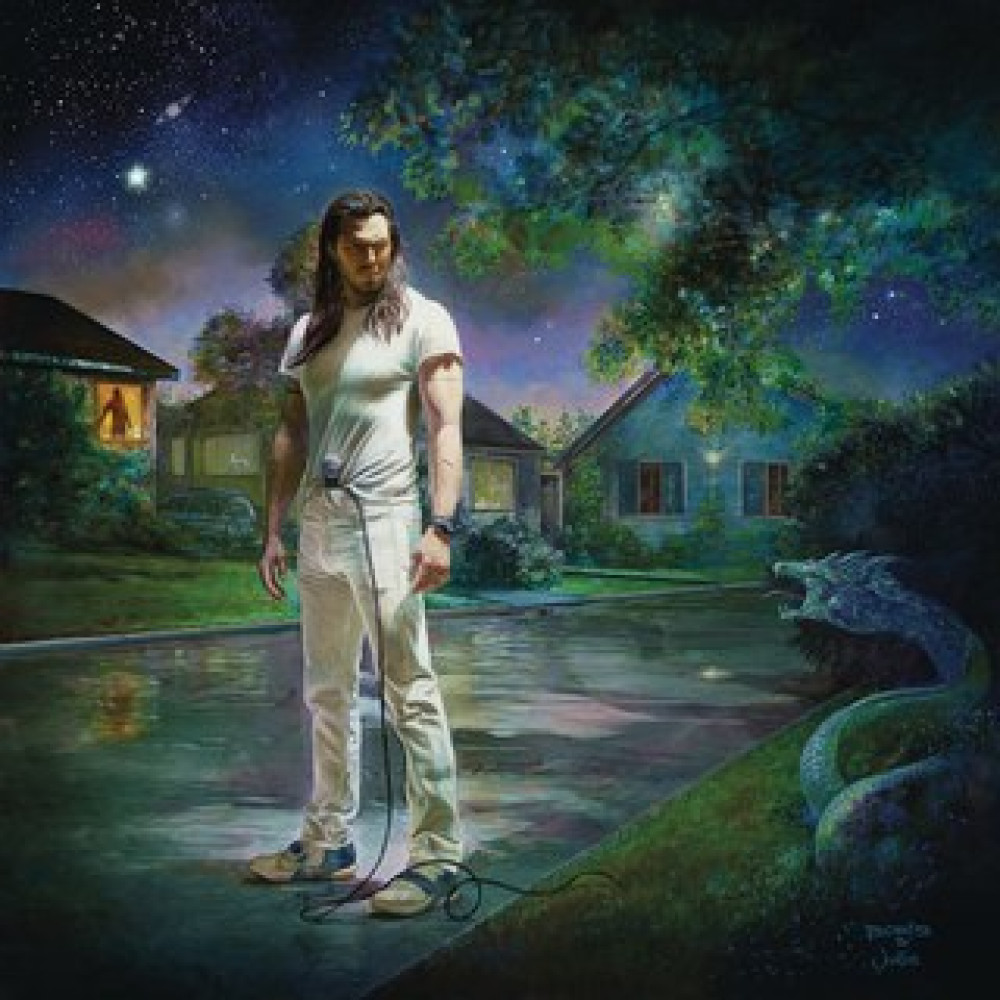 Виниловая пластинка Andrew W.K. - You're Not Alone, 2688