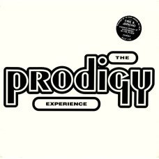 Experience 
