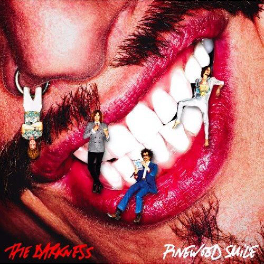Виниловая пластинка The Darkness - Pinewood Smile, 3066