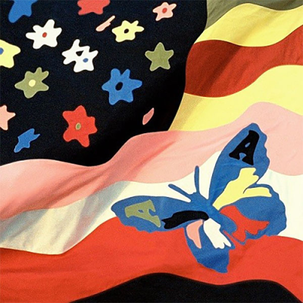 Виниловая пластинка Avalanches - Wildflower, 3162