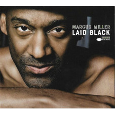 Laid Black