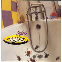 Spiders