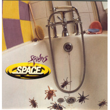 Spiders