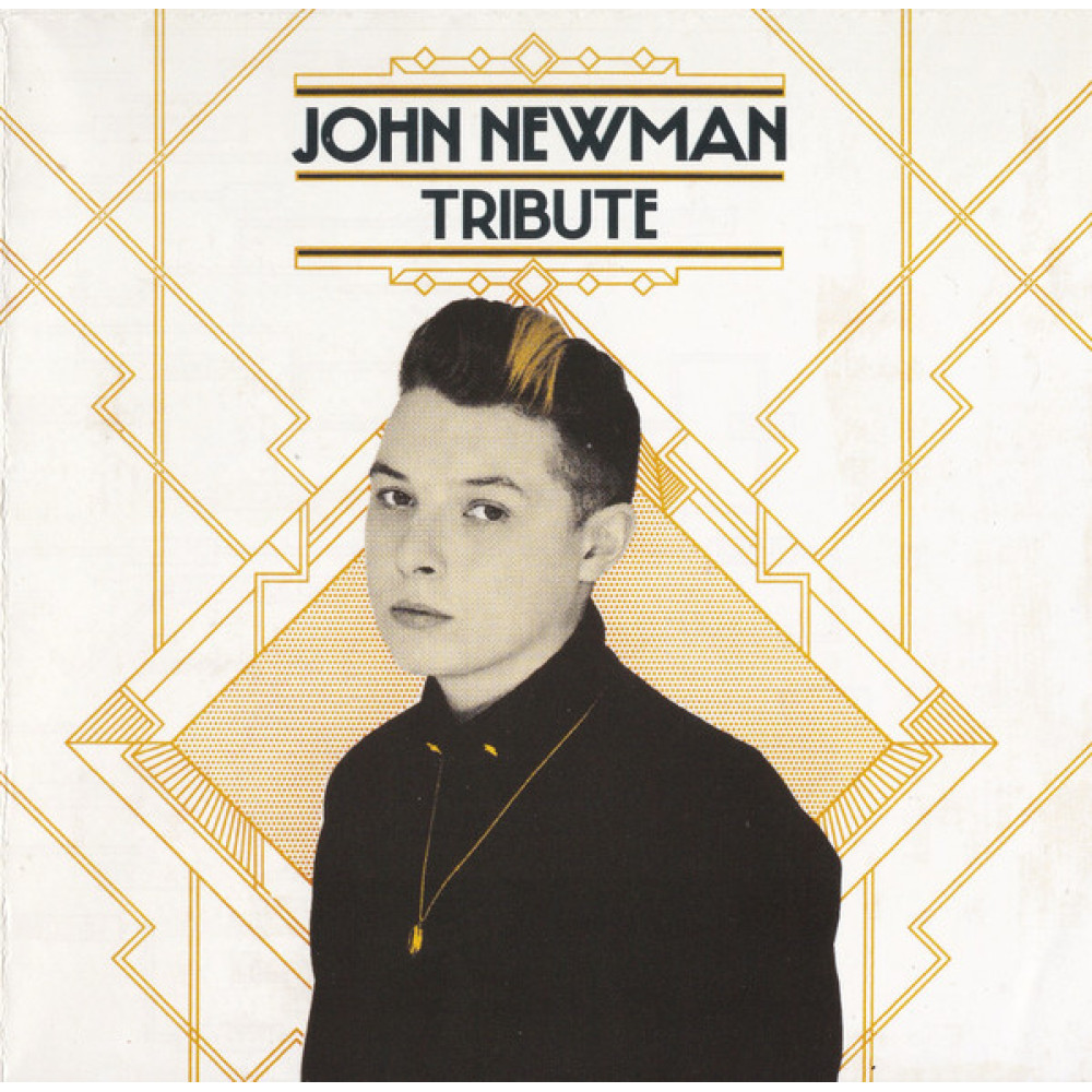 Виниловая пластинка Newman, John - Tribute, 3254