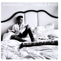 Voicenotes